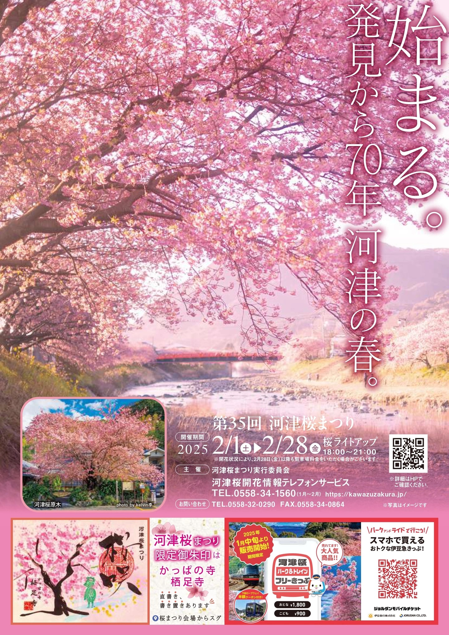 第35回河津桜まつり - 【公式】出張輪島朝市